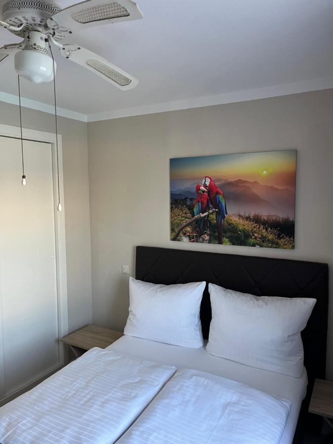 Appartement Villa-Celine Torrevieja Exteriör bild